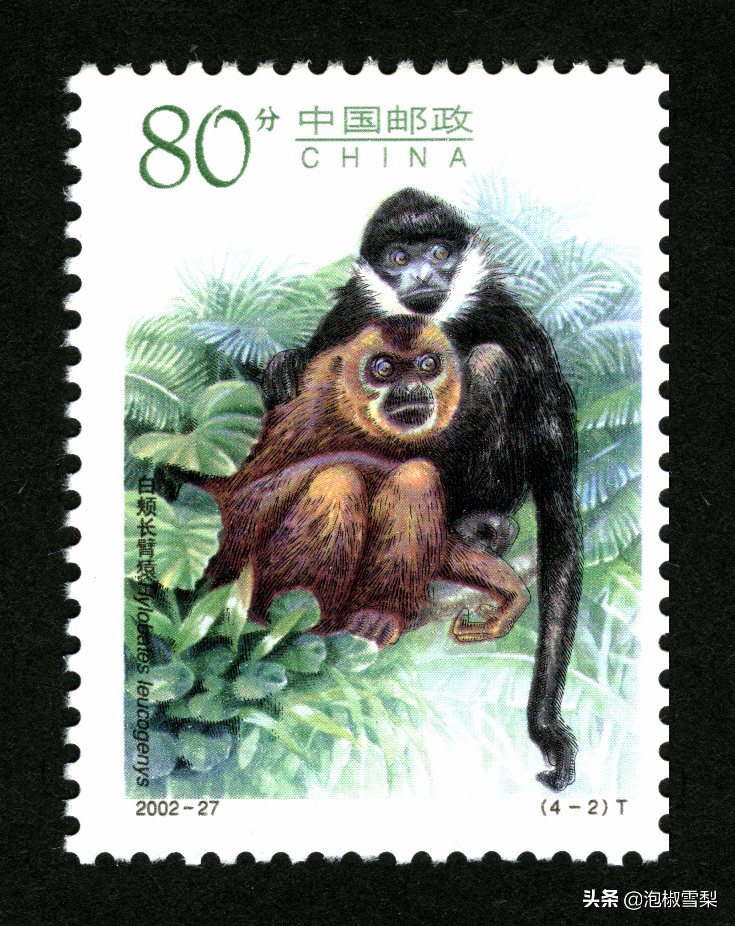 中国男足.七仙女.跆拳道.八大山人.聊斋｜2002全年邮票118张图片