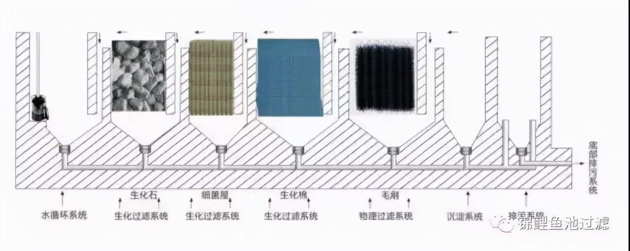 养锦鲤用过滤桶过滤系统,锦鲤鱼池沼泽过滤与生物过滤