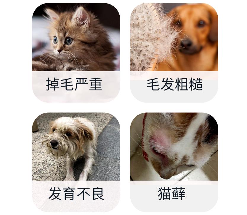 犬猫复合维生素,宠物猫怎么补维生素呢