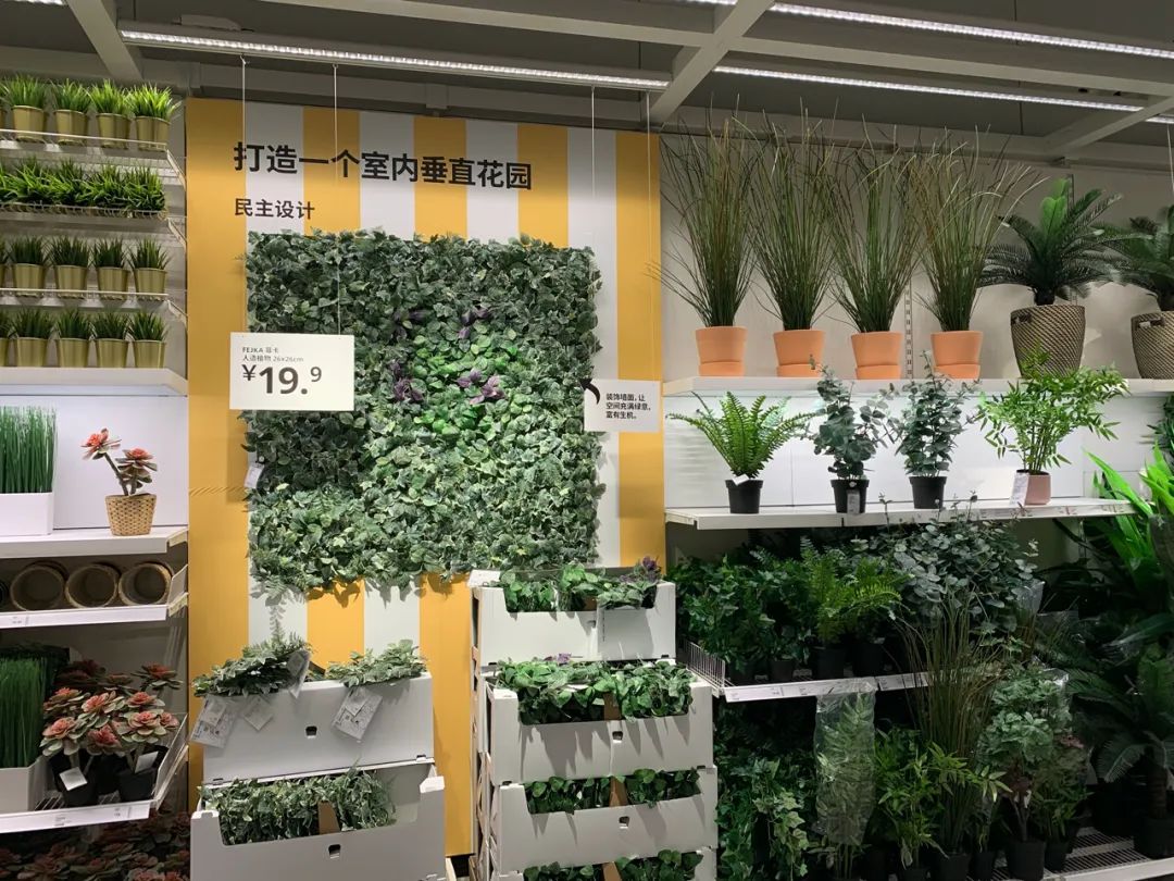 1元冰淇淋好吃吗？探访福州宜家：近万件产品，怎么选有性价比