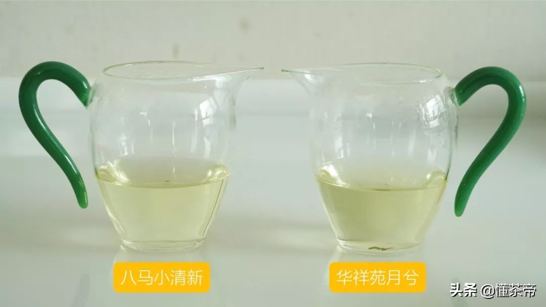 八马蓝罐清香铁观音测评,华祥苑铁观音对比八马茶业