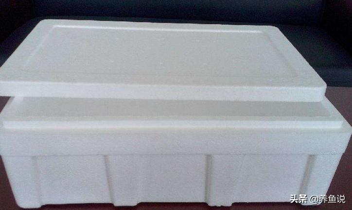 养观赏鱼用多深的鱼缸好,养观赏鱼用原生缸