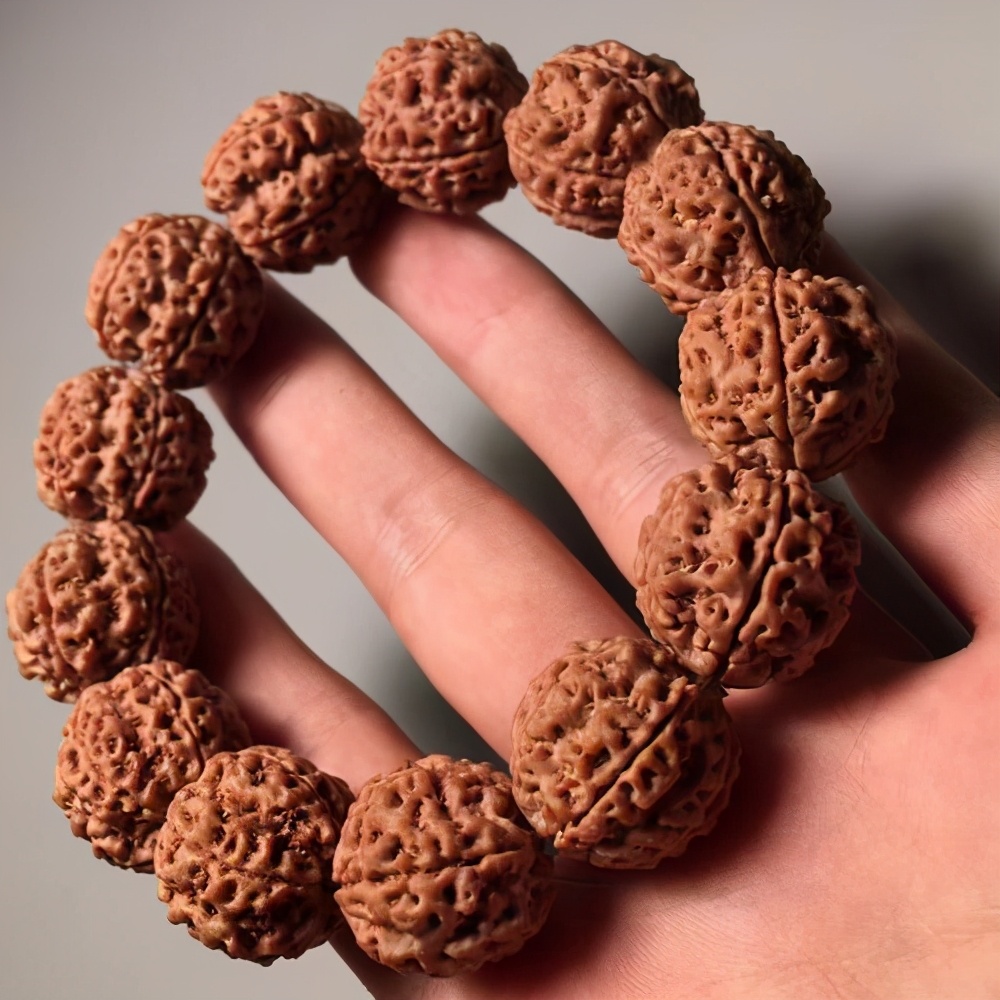 玩金刚菩提的9大误区,金刚菩提的基本知识