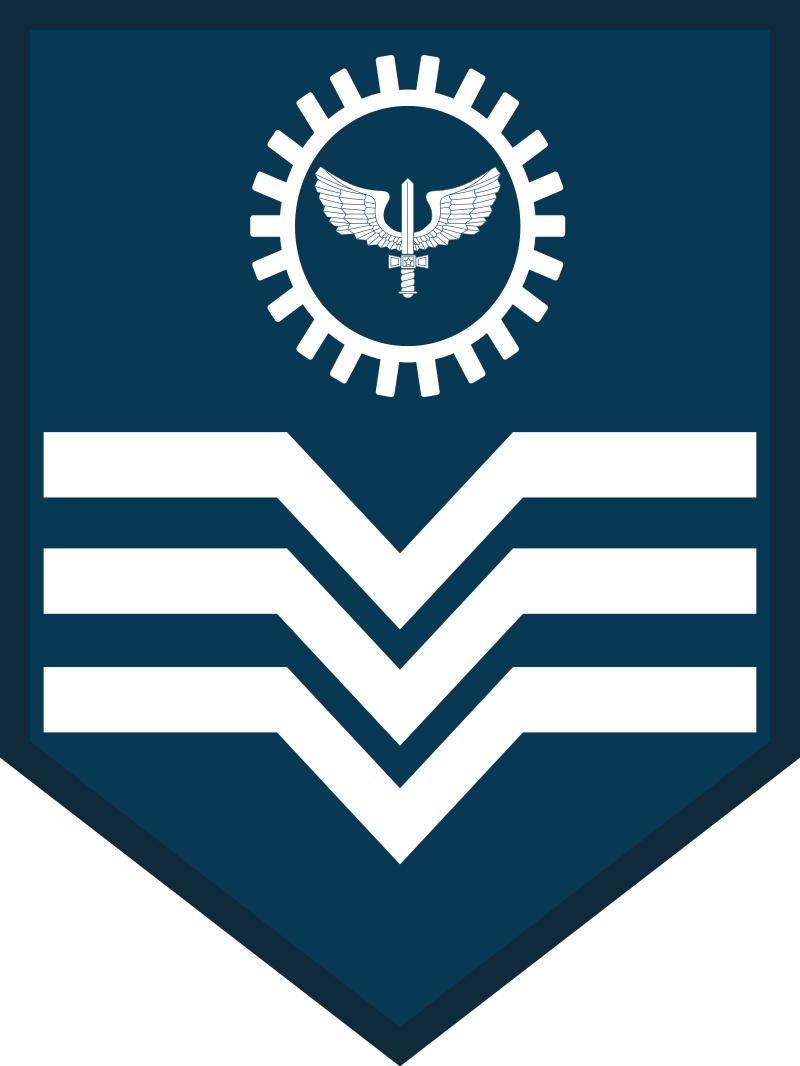 巴西军队标志,巴西海军军衔