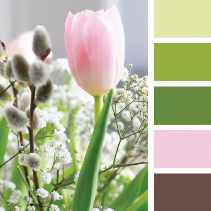 最佳紫色配色,柔和颜色搭配表及效果图片