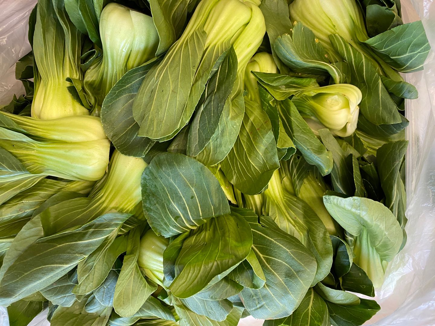 代购蔬菜免费送货,免费代购的食品