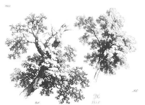 风景速写1000例临摹图高清,炭笔速写风景初学者图片教程