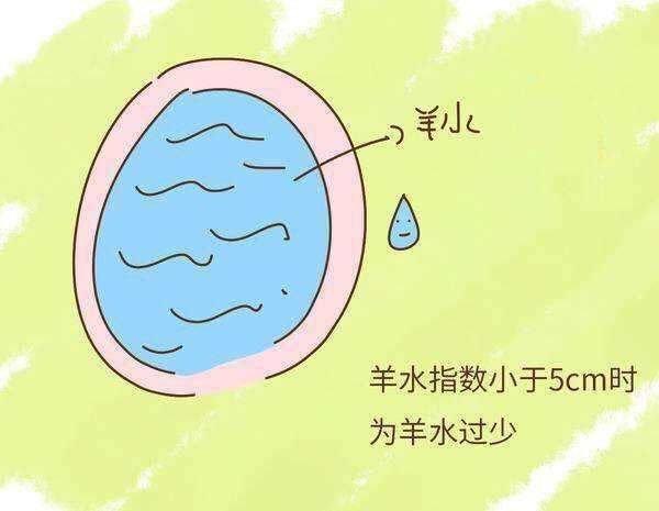 对胎儿很重要的羊水，为什么很多孕妇会变少？
