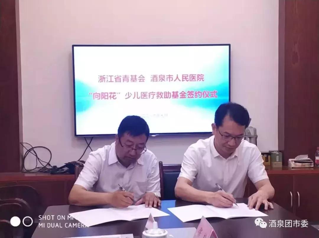 向阳花公益,向阳花公益支教