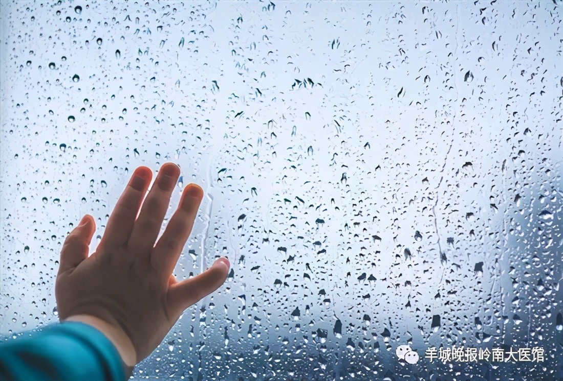 老中医健脾祛湿最快的方法,湿气重如何吃才能健脾祛湿