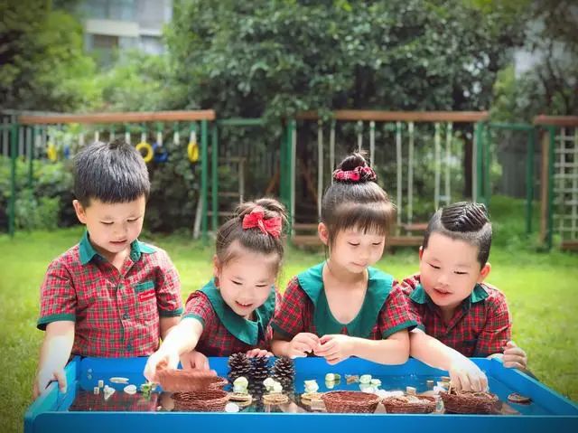 伊顿最新采访视频,伊顿幼儿园成都