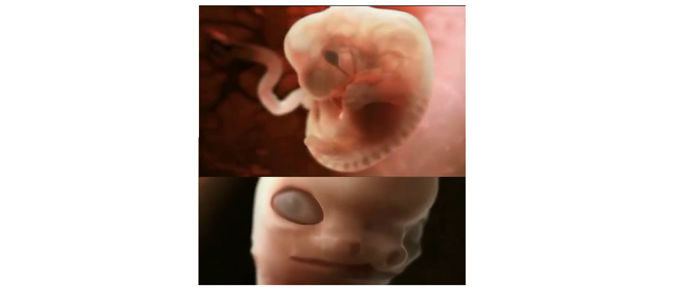 孕7周胚胎发育缓慢怎样才能更好,胎教0-6个月完整版