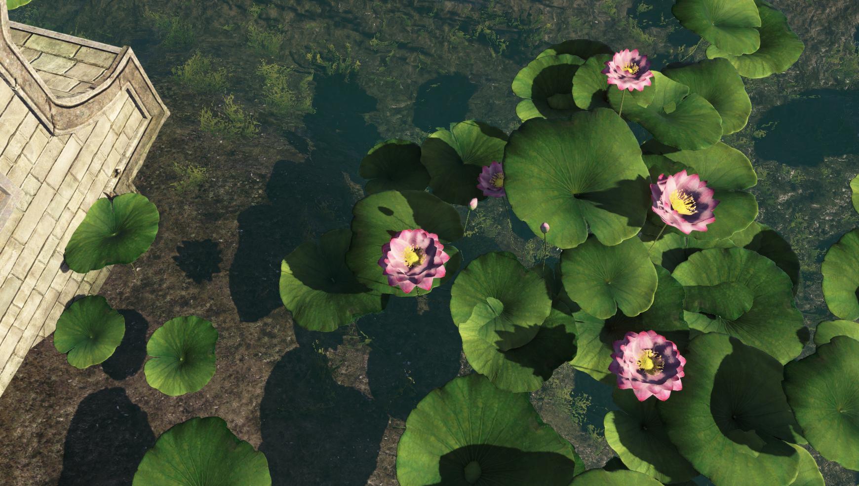 天刀萌新攻略2018,天刀萌新还能玩吗