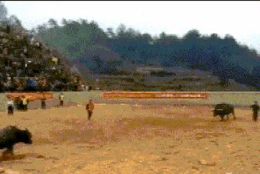 为什么加油站要24小时上班,为什么加油站一个工资1800