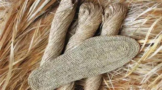 工业*麻大**：从北美火到中国，23个值得关注的行业机会