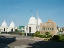 横沙岛具体位置,横沙岛的岛屿简介