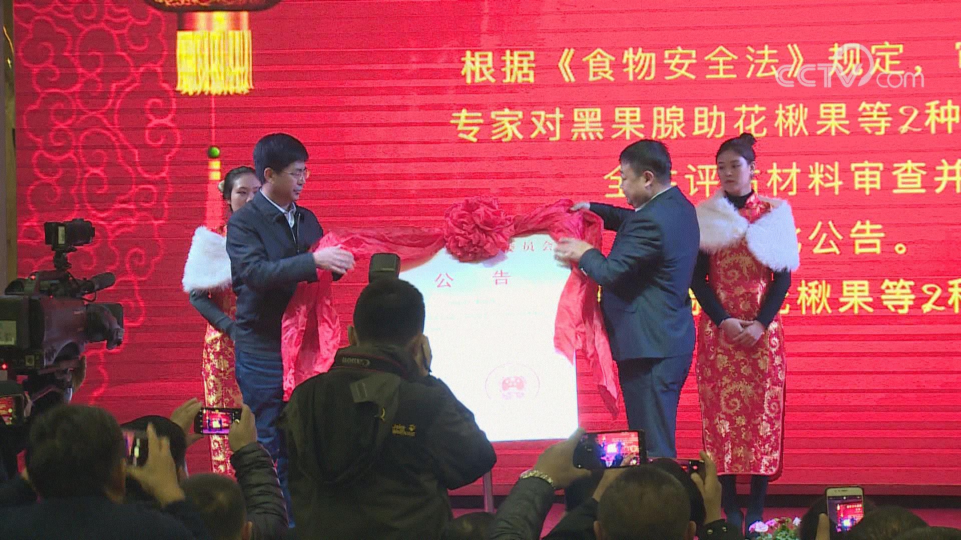 黑果花楸和蓝莓,黑果花楸和蓝莓有什么区别