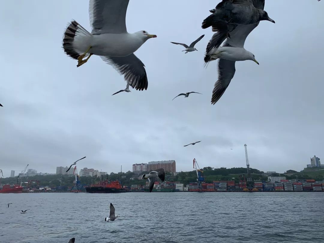 性价比比较高的欧洲旅游,性价比高的欧洲旅游城市
