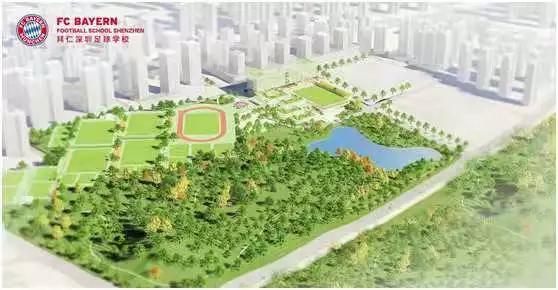 深圳足球学校最新招生,深圳新建足球学校