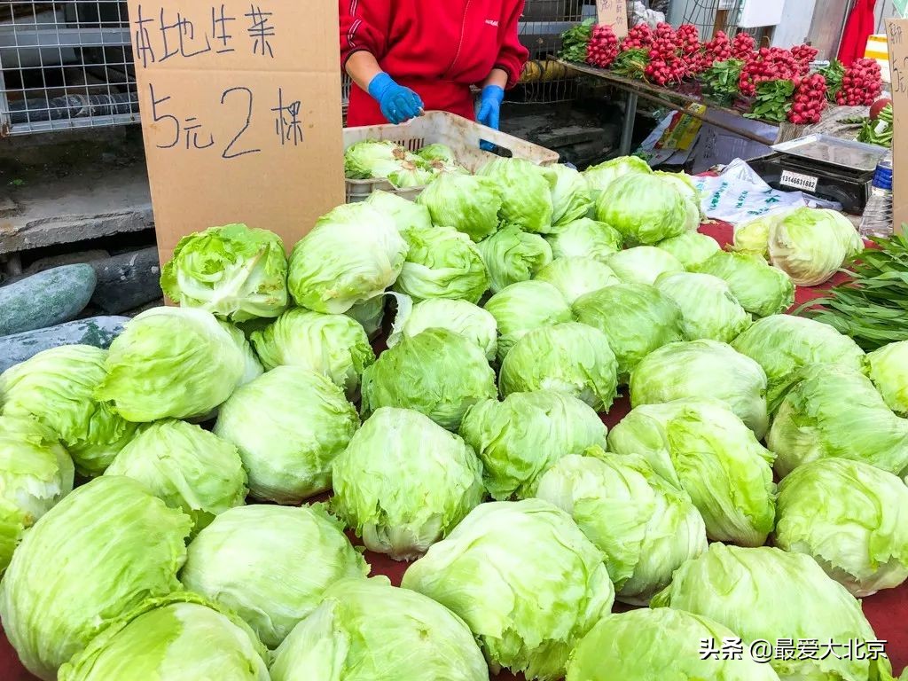 最便宜的早市品种,北方早市有哪些品种