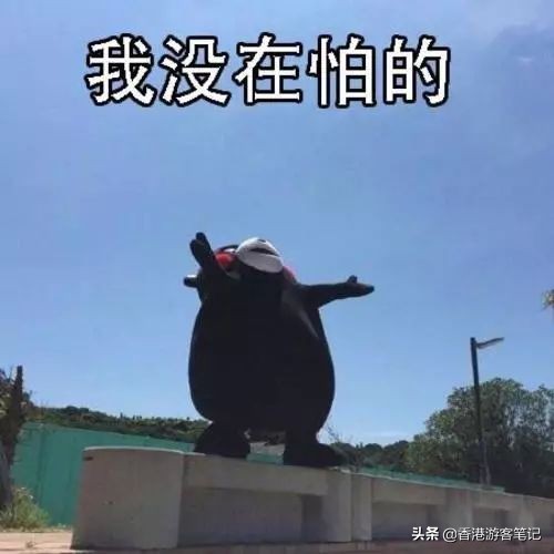 2019崇光店庆,崇光百货下半年店庆是什么时候