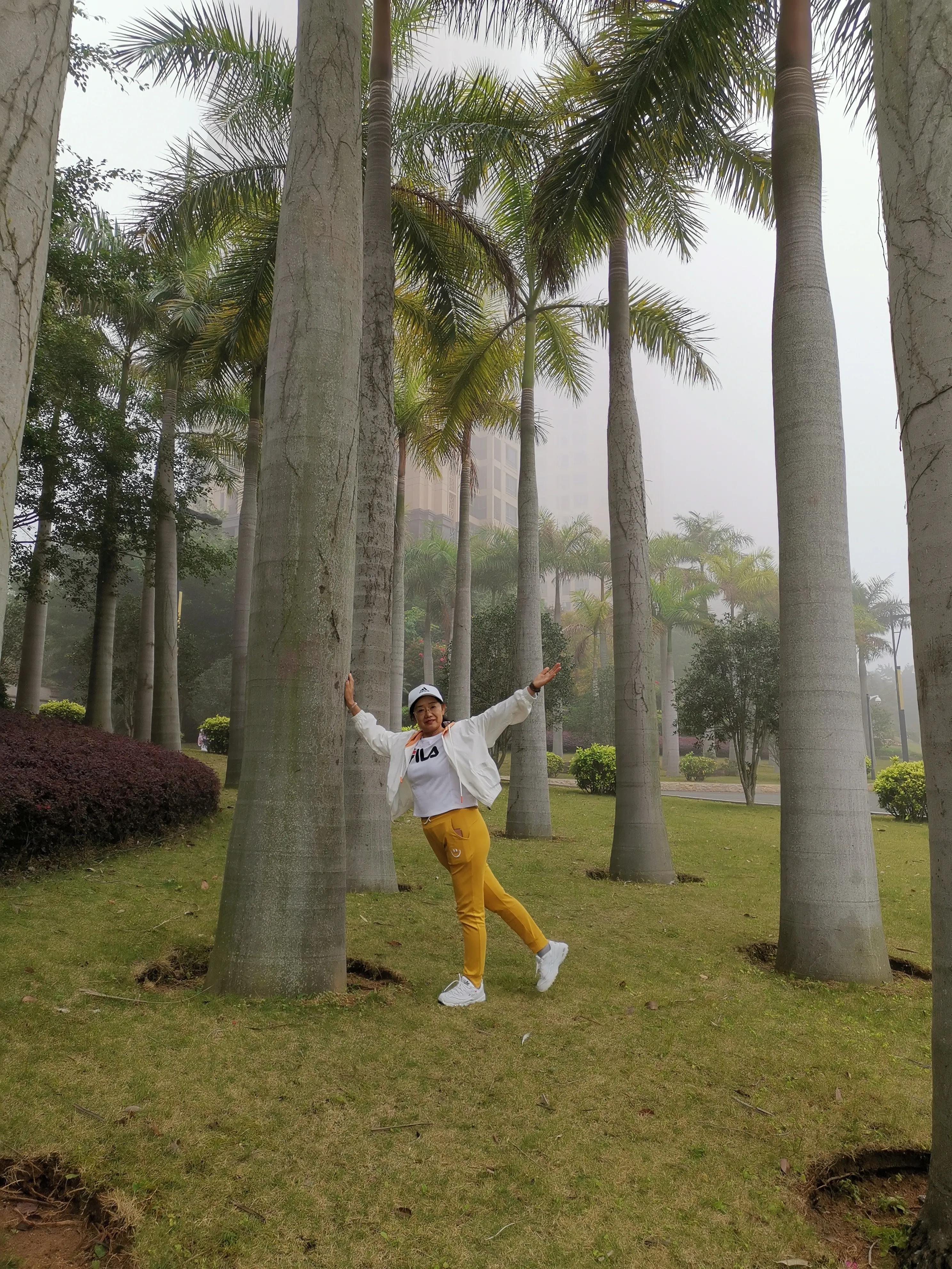 濮戝珎鏃呰璁板綍,濮戝珎鏃呰鏃ヨ