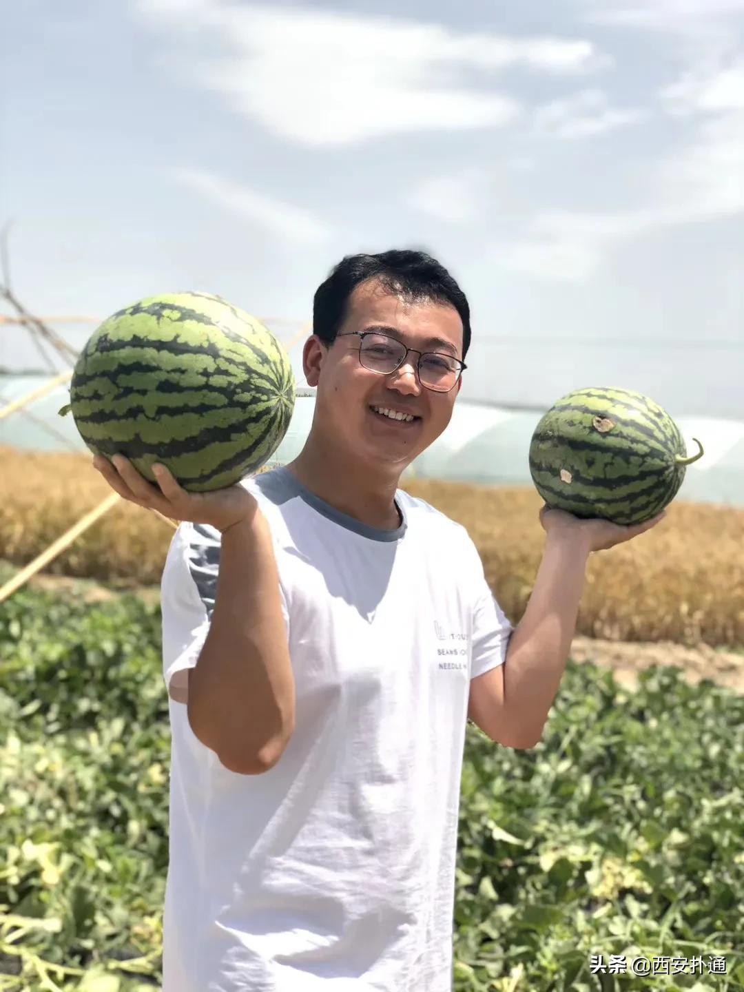 蒲城县好吃的地方推荐晚上,蒲城吃的最多的地方