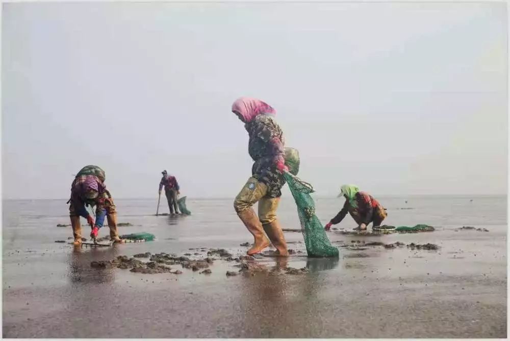 【读历史游盘锦】几许渔人飞短舟,尽载灯火归村路渤海金滩蛤蜊岗