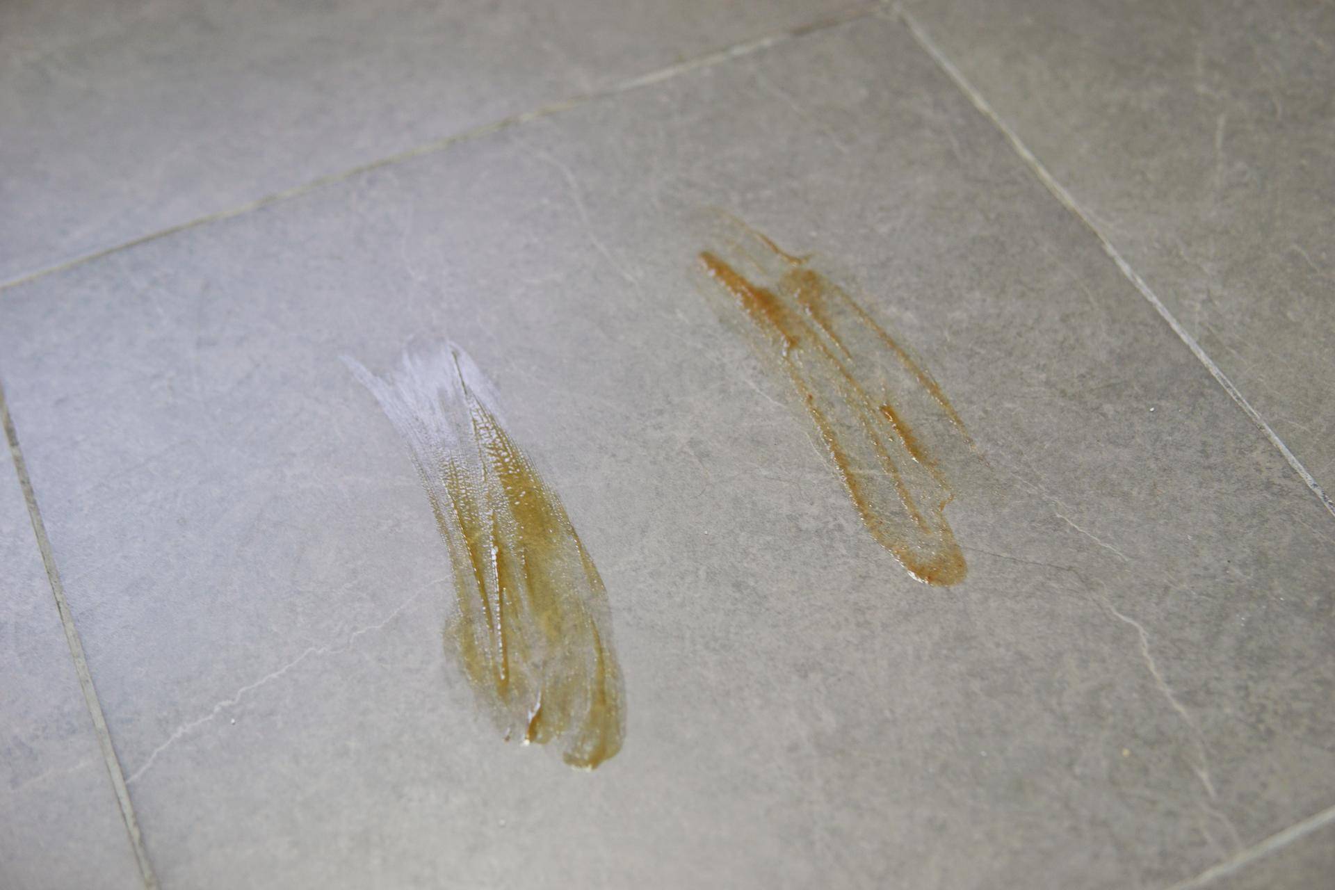 德国蓝宝拖把拖地,拖地洗地一体机测评