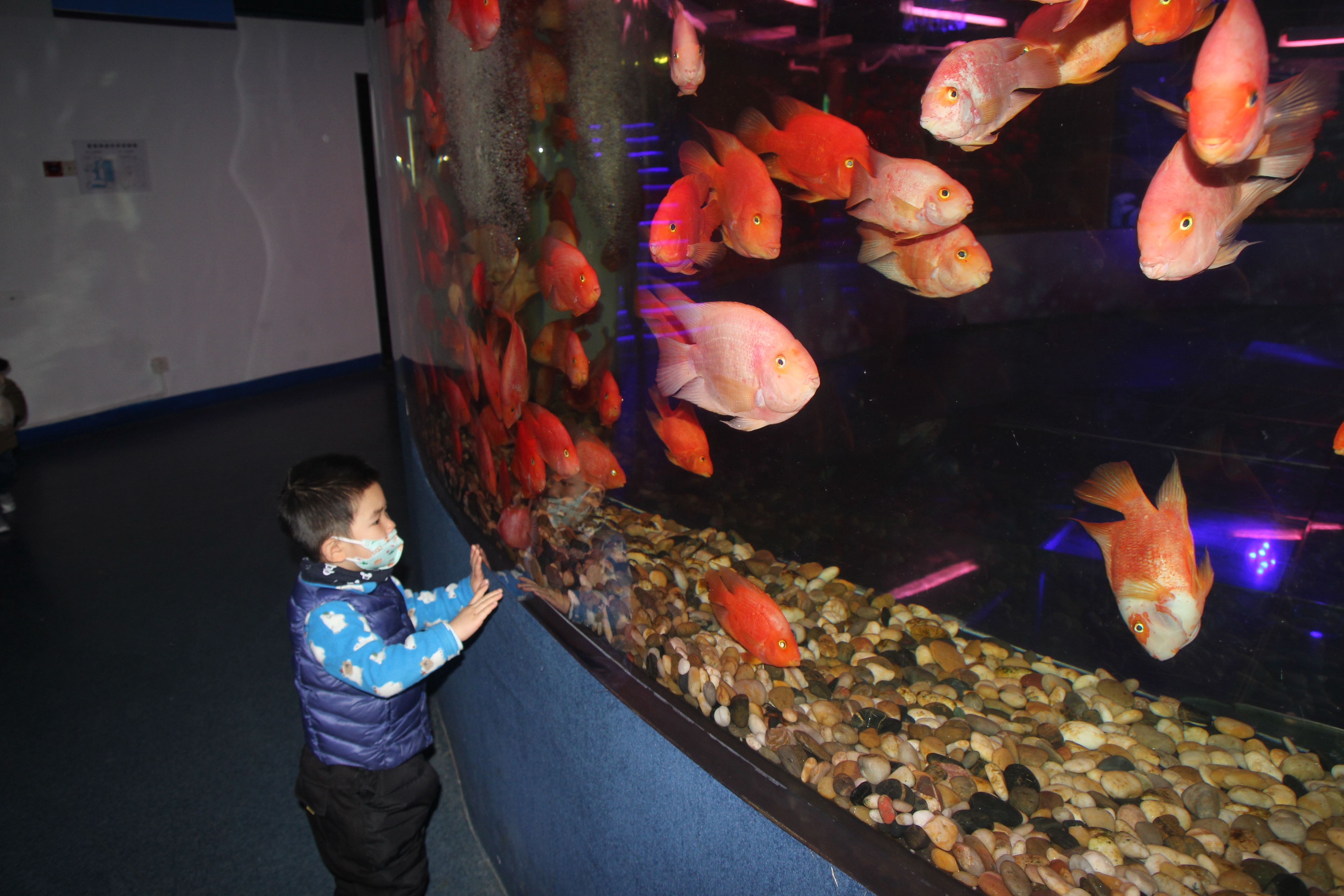 海洋馆北京第一名,北京最长隧道海洋馆