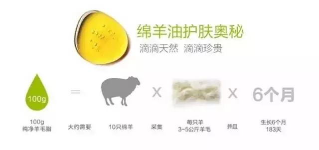 冬天必备十项全能神器，非你莫属——绵羊油