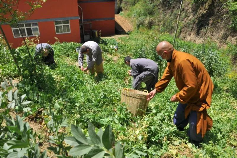 抢抓农时开展农业生产,农民纷纷抢抓春耕生产有利时机