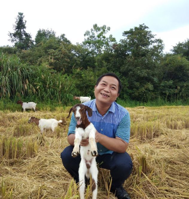 疫情下的农村项目,疫情农村创业