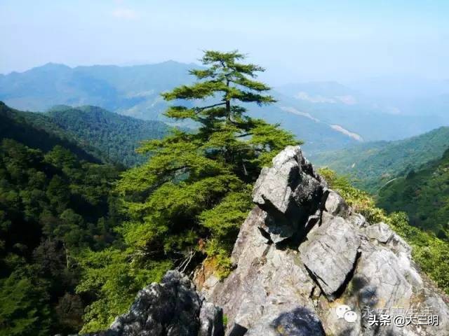 绿都最氧三明景区预约,绿都最氧三明旅游攻略