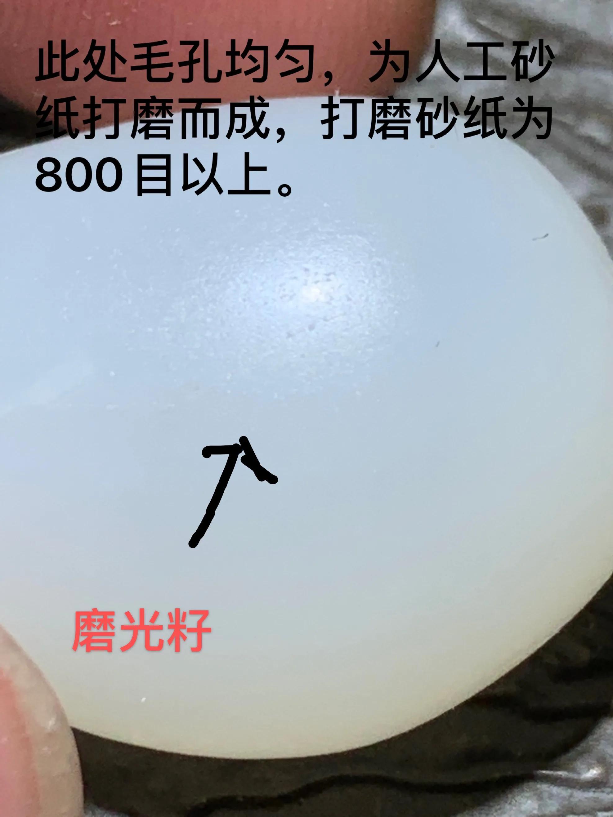 老鸟实战经验100条,老鸟早期网红