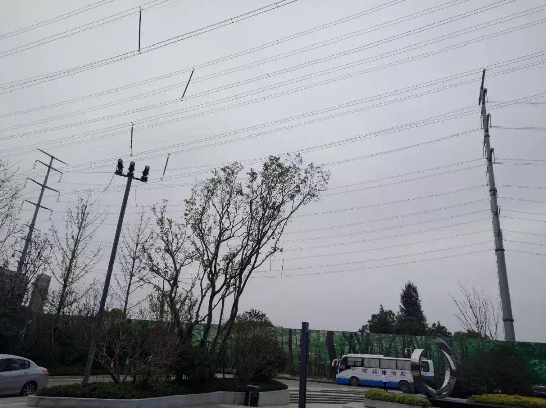 白沙洲告别篇:留汉大学生“首站”青菱新区