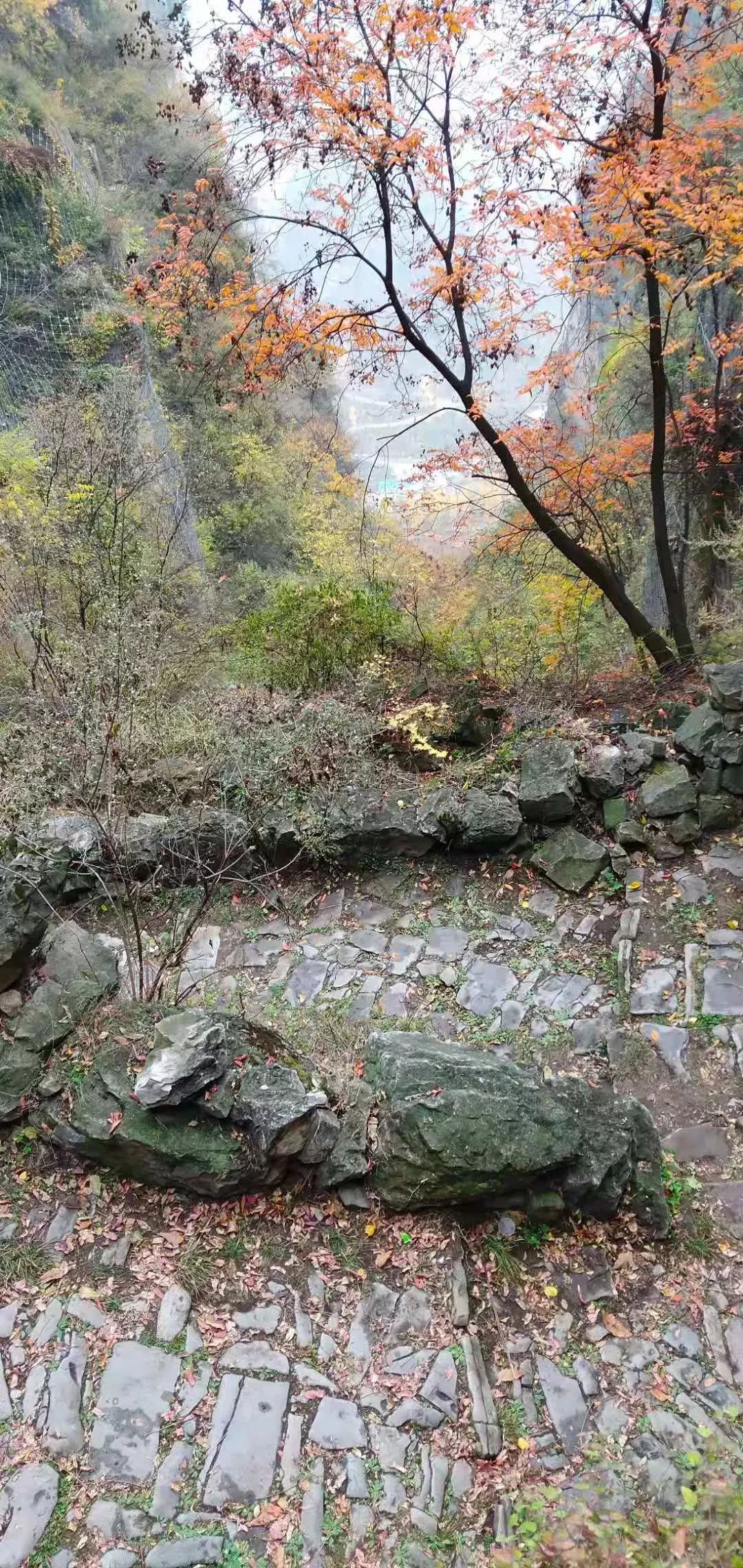 秋香四溢的白陉古道，诗意正浓