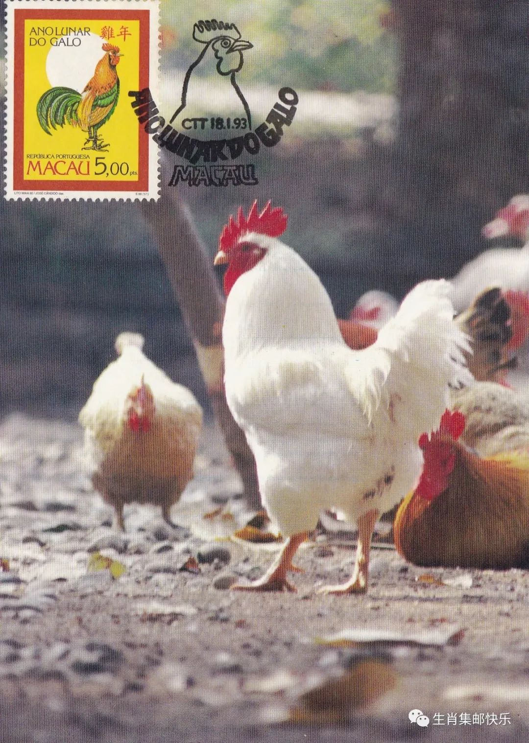 生肖鸡全集,生肖鸡的高光时刻