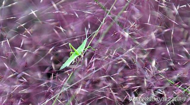 郑州五一近郊游的好地方,不出郑州就能游玩的地方