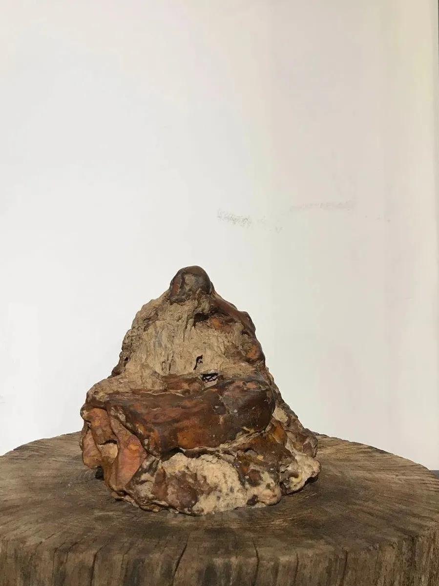 2022杭州金奖黄蜡石,浙江省黄蜡石欣赏一下