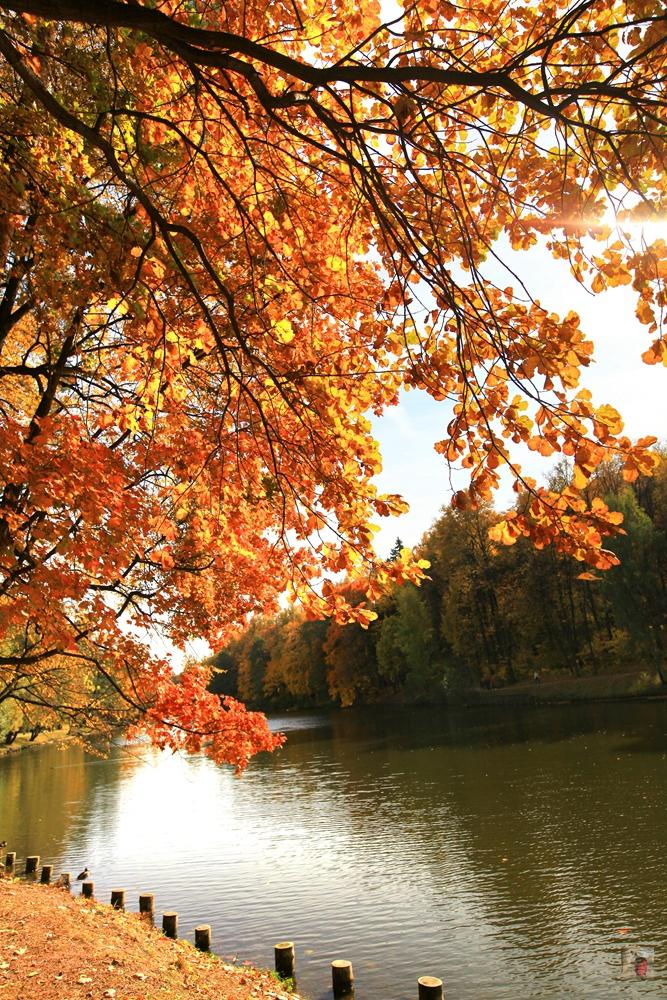 俄罗斯顶级奢华地方,绝美的风景俄罗斯