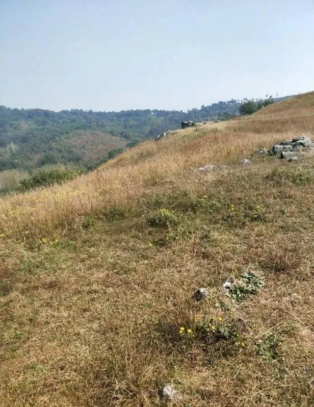 想不通就去爬山看海吧,呼伦贝尔大草原自驾游攻略