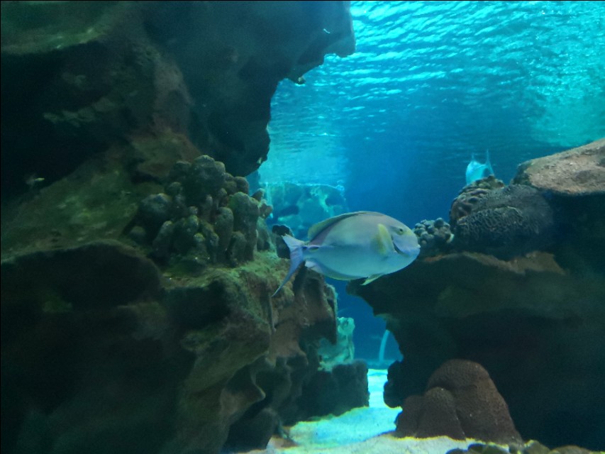 北京工体富国海底世界周一营业,北京工体富国海底世界旅馆