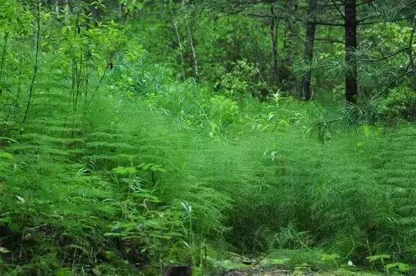 哈尔滨自驾三亚边走边玩最佳路线,哈尔滨到漠河自驾旅游攻略10天