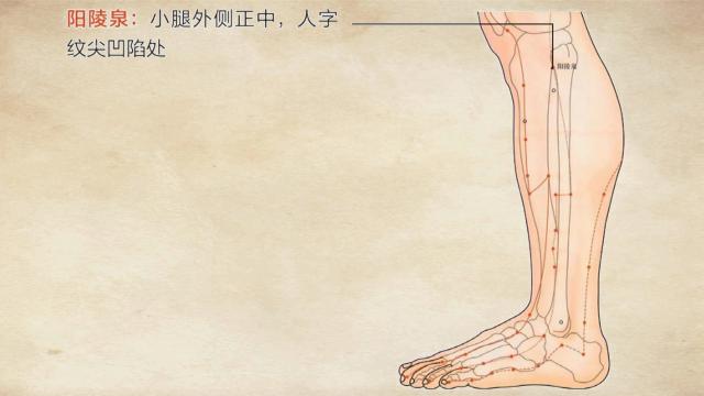 解决坐骨神经痛的办法,如何治好坐骨神经痛