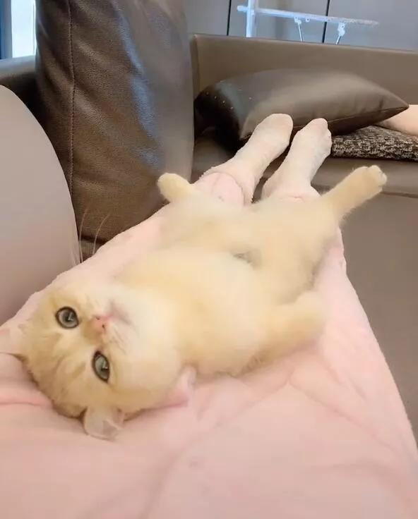 适合外出穿的家居服纯欲风,好看又能穿出门的居家服