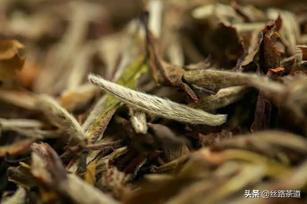 压饼的茶叶是不是不好,白茶散装的好还是压饼的好