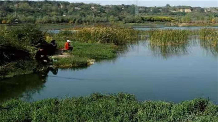 怎样选择鱼竿比较好,怎样选择鱼竿最合适