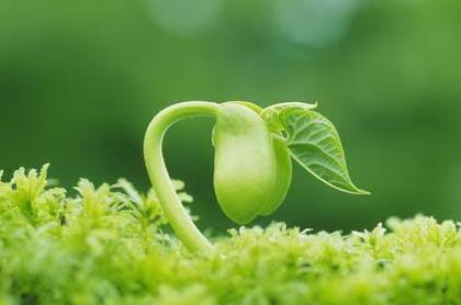 人到四十有存款是你做人的底气,人到40有多少存款才算及格