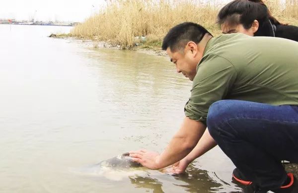 世界顶级淡水鱼大全,世界上顶级鱼类大全